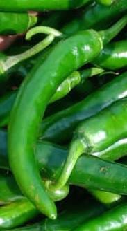 Green Chilli