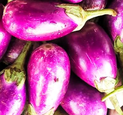 Brinjal
