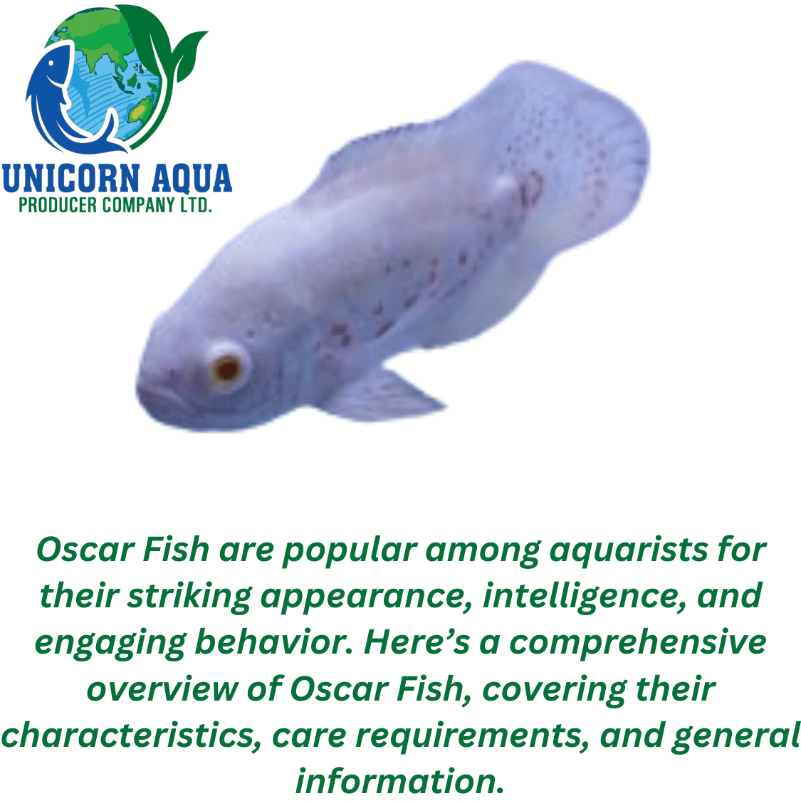 Oscar Fish