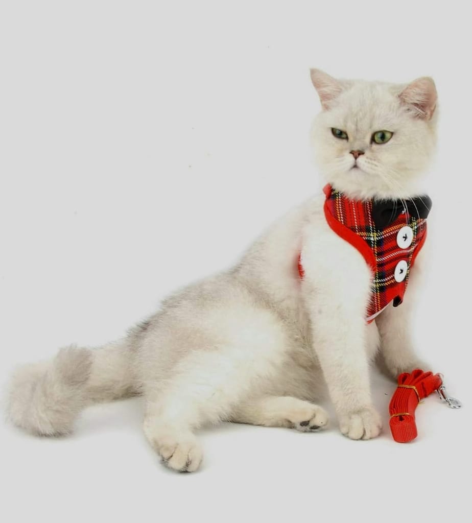 Cat Red Harness