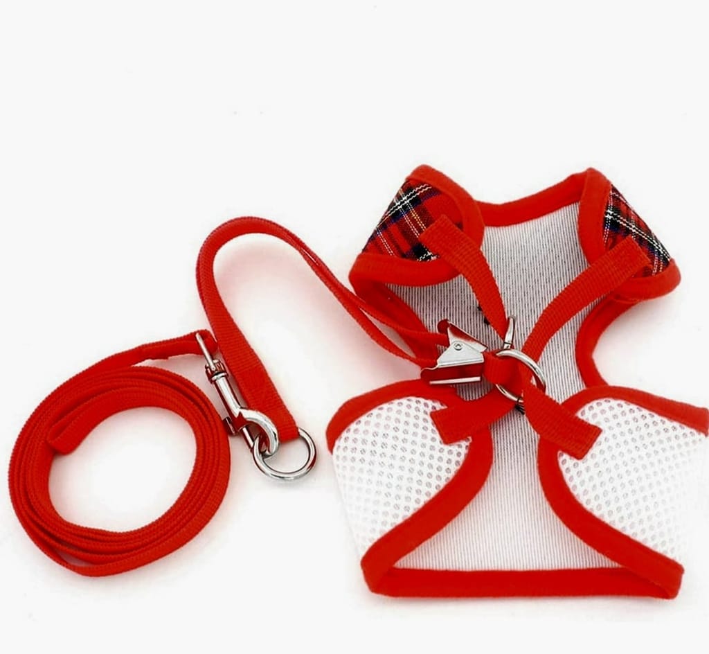 Cat Red Harness