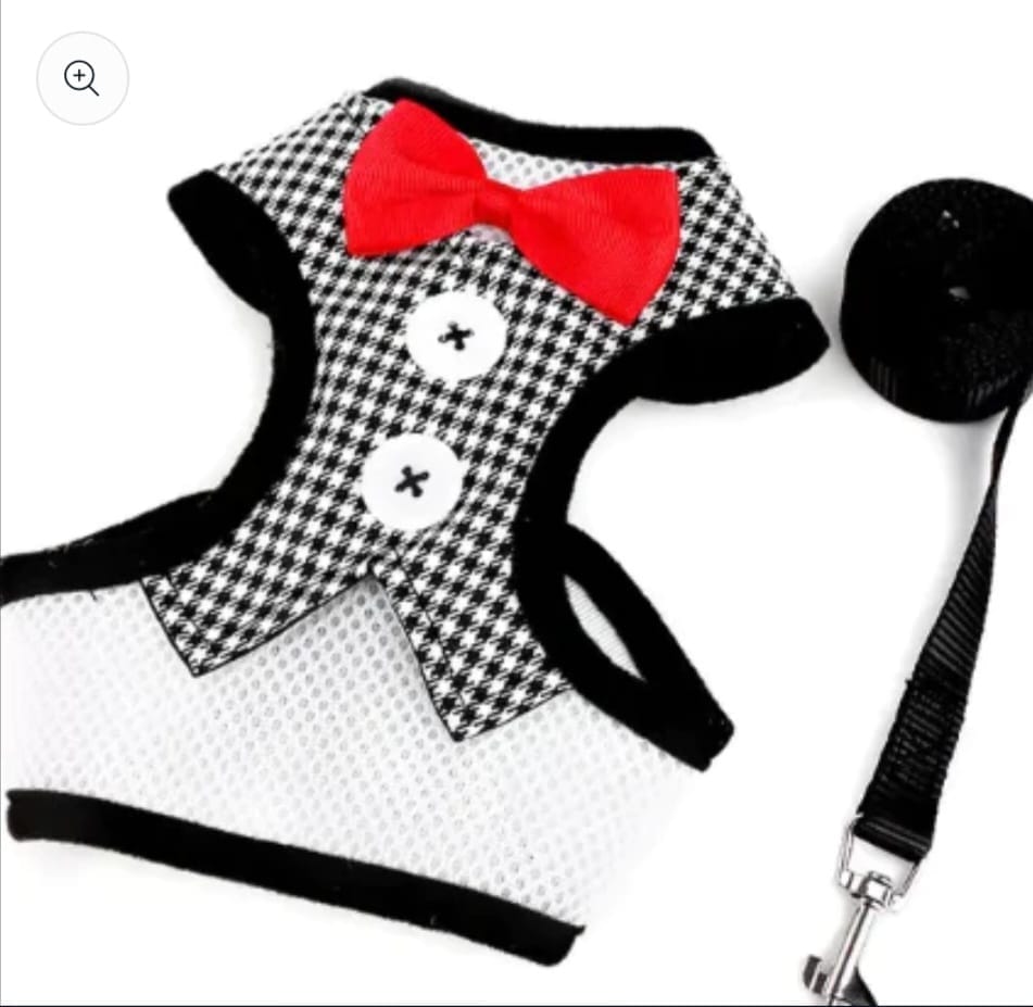 Puppy Dog Harness