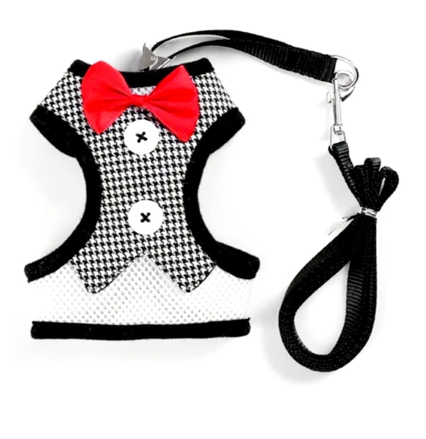Puppy Dog Harness