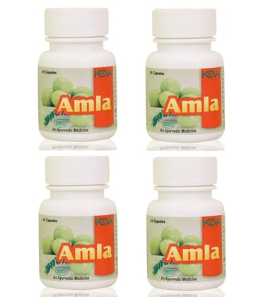 Keva Amla Capsules (Pack of 4) (240 Capsules)