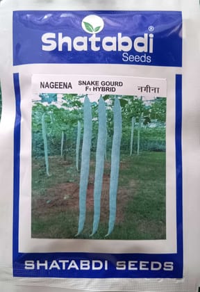 Snake Gourd Seeds