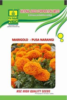 NSC Orange Marigold Seed, Variety: Pusa Narangi , 10 gm