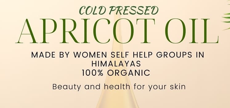 Apricot Oil