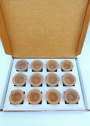 Gaukosh Organic Cow Dung Hawan Cups/Dhoop cups Pack Of 2 (24 pcs)