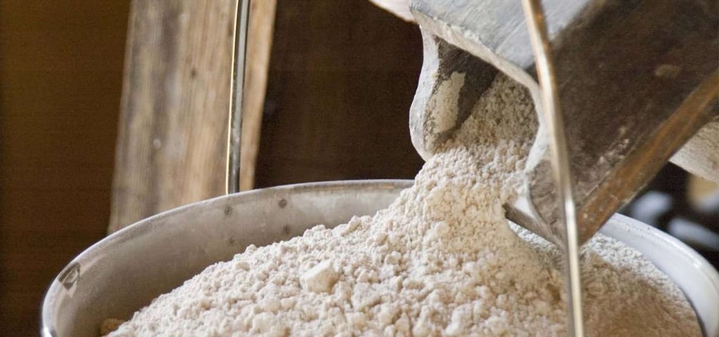 Wheat Flour