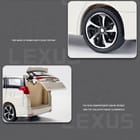 ... ...
