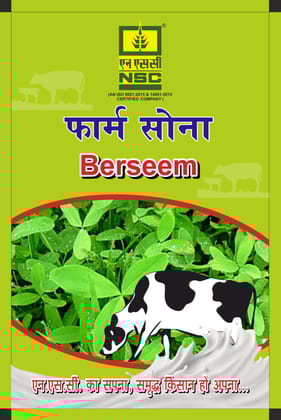 NSC Fodder Berseem Mascavi variety, 2 Kg Truthful Labelled Seed