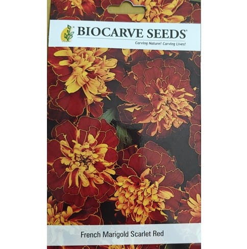 French Marigold Scarlet Red Flower Seeds