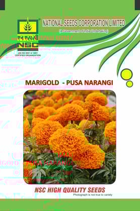 NSC FLOWER SEED - Marigold Pusa Narangi Seed - 10gm NSC FLOWER SEED - Marigold Pusa Narangi Seed - 10gm