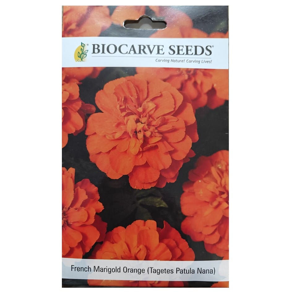 French Marigold Orange (Tagetes Patula Nana) Flower Seeds