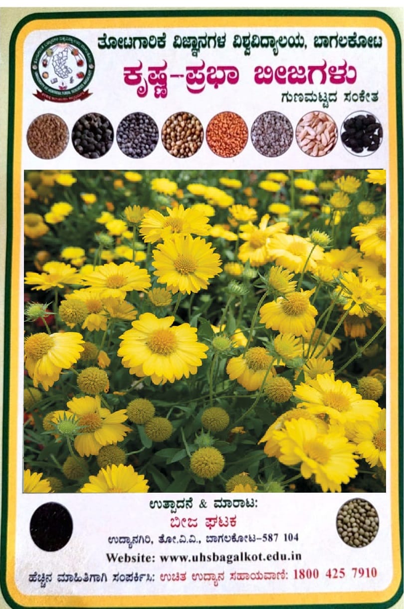 NSC GAILARDIA LOCAL SEEDS TL- 10 GM PACKING