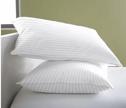 RACCOON Microfibre Solid Sleeping Pillow Pack of 2  (White)