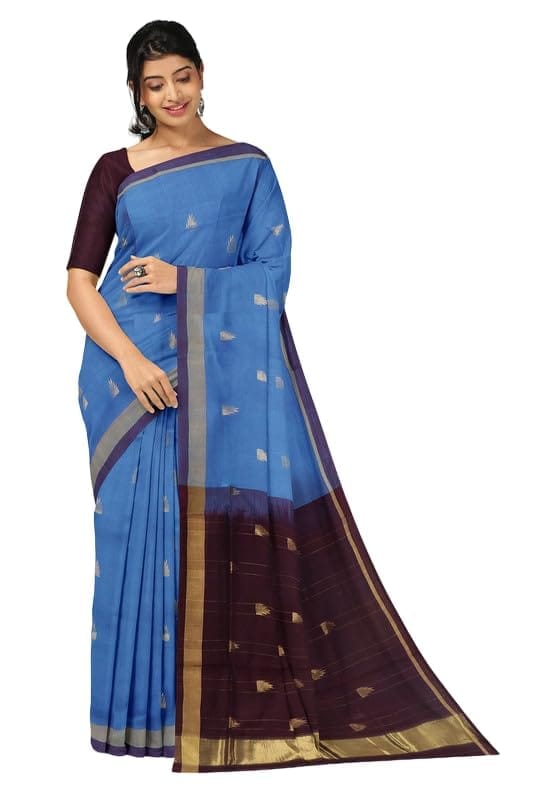 APCO Handloom - Women's Rahajmundry Pure Cotton Handloom Saree (Blue)