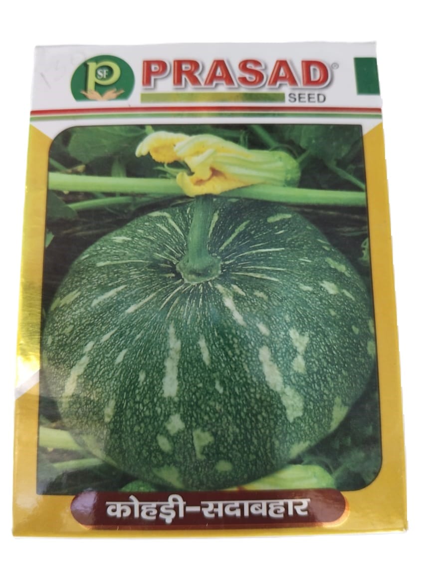  PRASAD SEED KASHI-SABAHAR