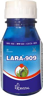 lara 909