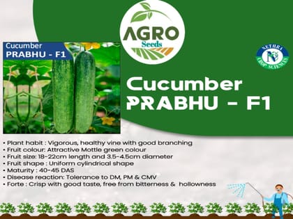 Agro Seeds Vegetable Cucumber F1 Hybrid Seeds Fresh Healthy Seed in Your Garden Perfect for Home & Terrace