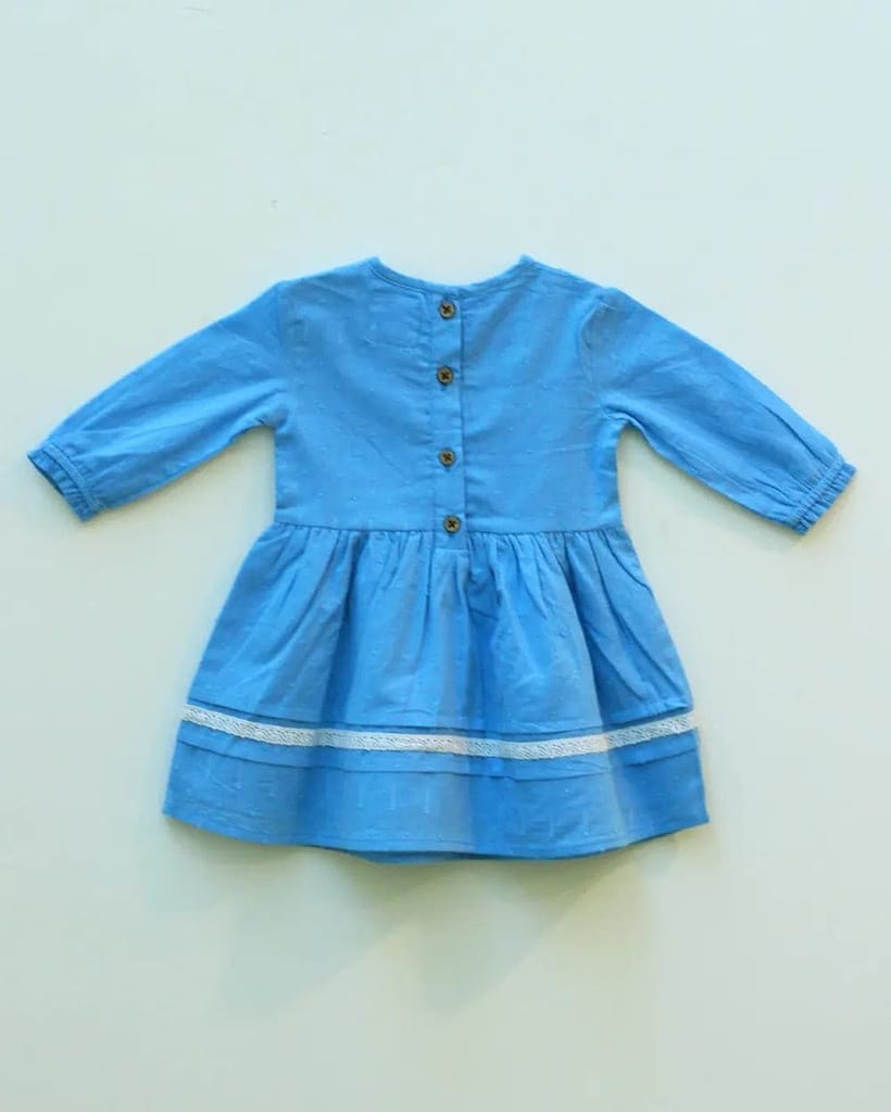 Baby Blue Picnic Frock