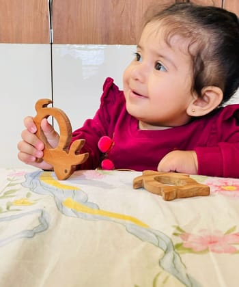 Neem Wood Bunny & Turtle Teethers (Set Of 2)