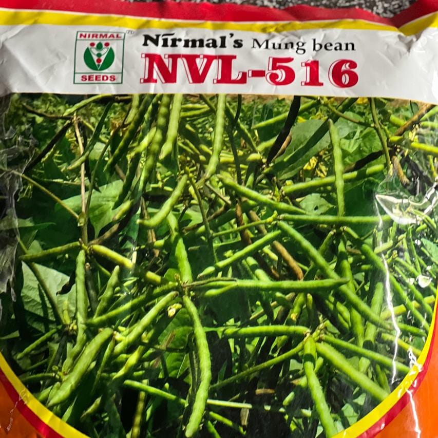 Nirmal's Mung Bean Seeds - NVL-1- 5kg bag