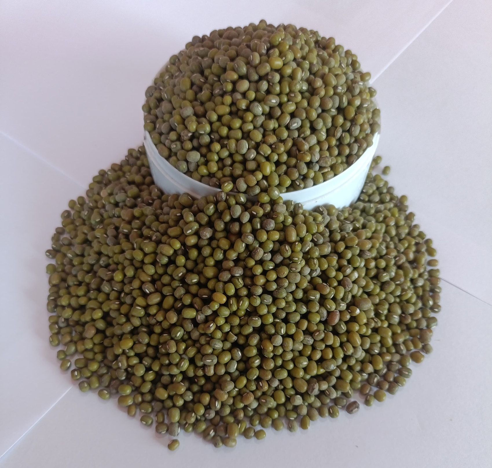 NSC GREENGRAM DGGV  -2 SEEDS