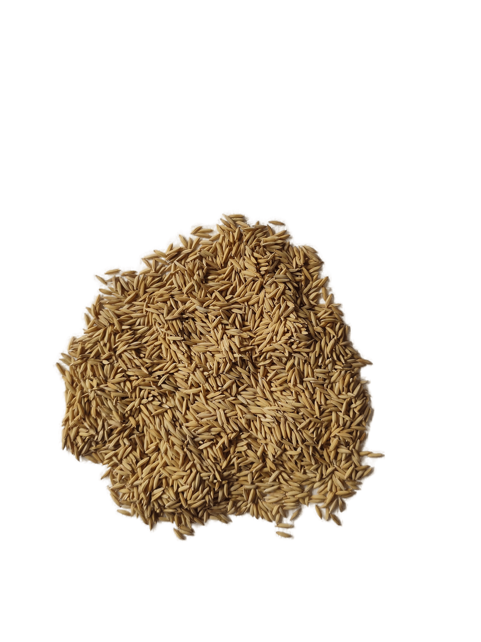 NSC PADDY RNR-15048 ( TELANGANA SONA)  VARIETY, 25 KG CERTIFIED SEED BAG