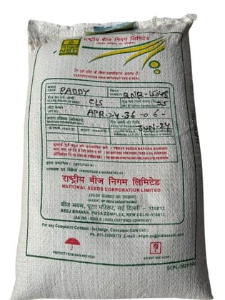NSC Paddy Variety:RNR-15048 CS