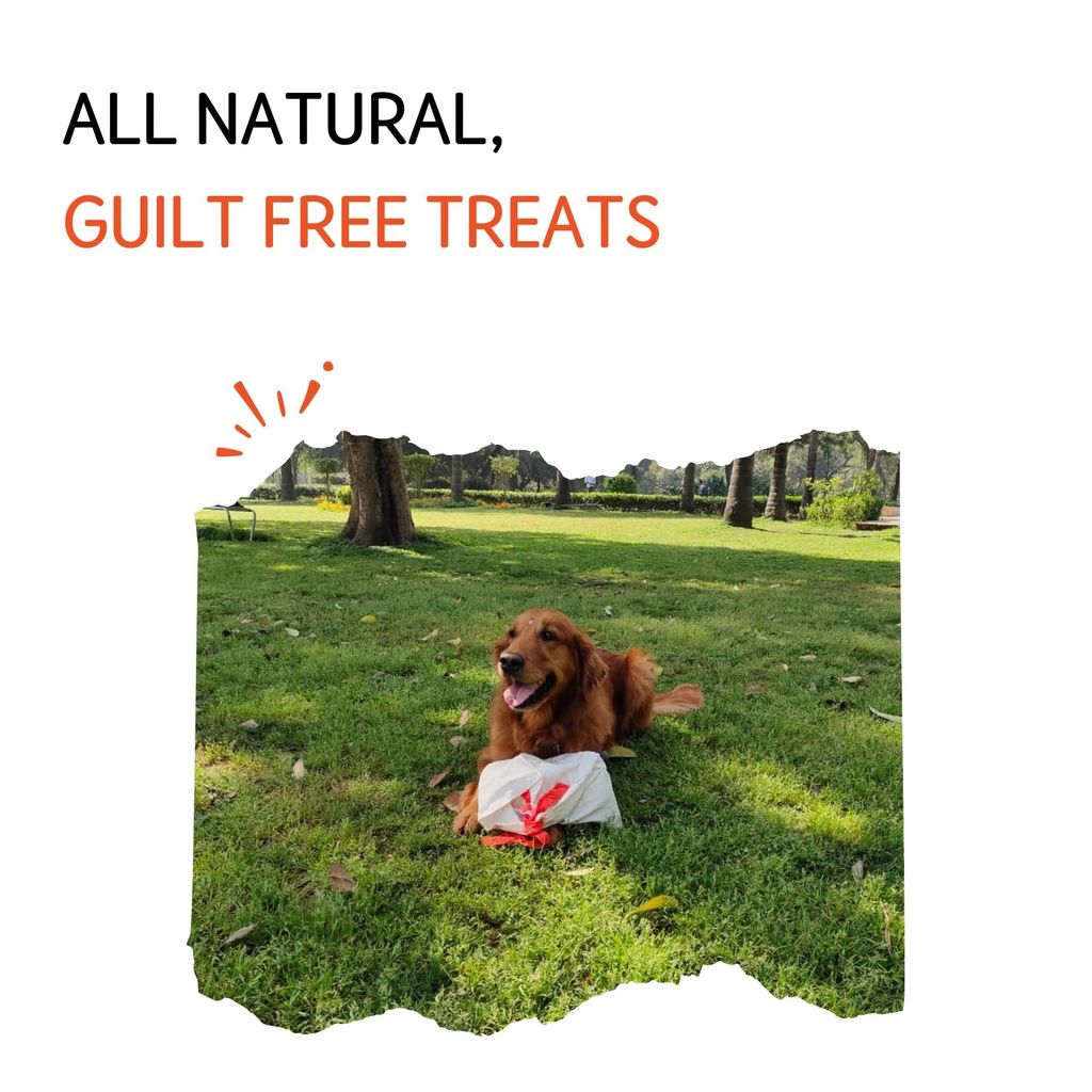 Nuts over Mutts Chicken Neck Dehydrated. Single Ingredient dehydrated Treat. All-Natural, no preservatives, no Chemicals. 1 Pack (140 gm)