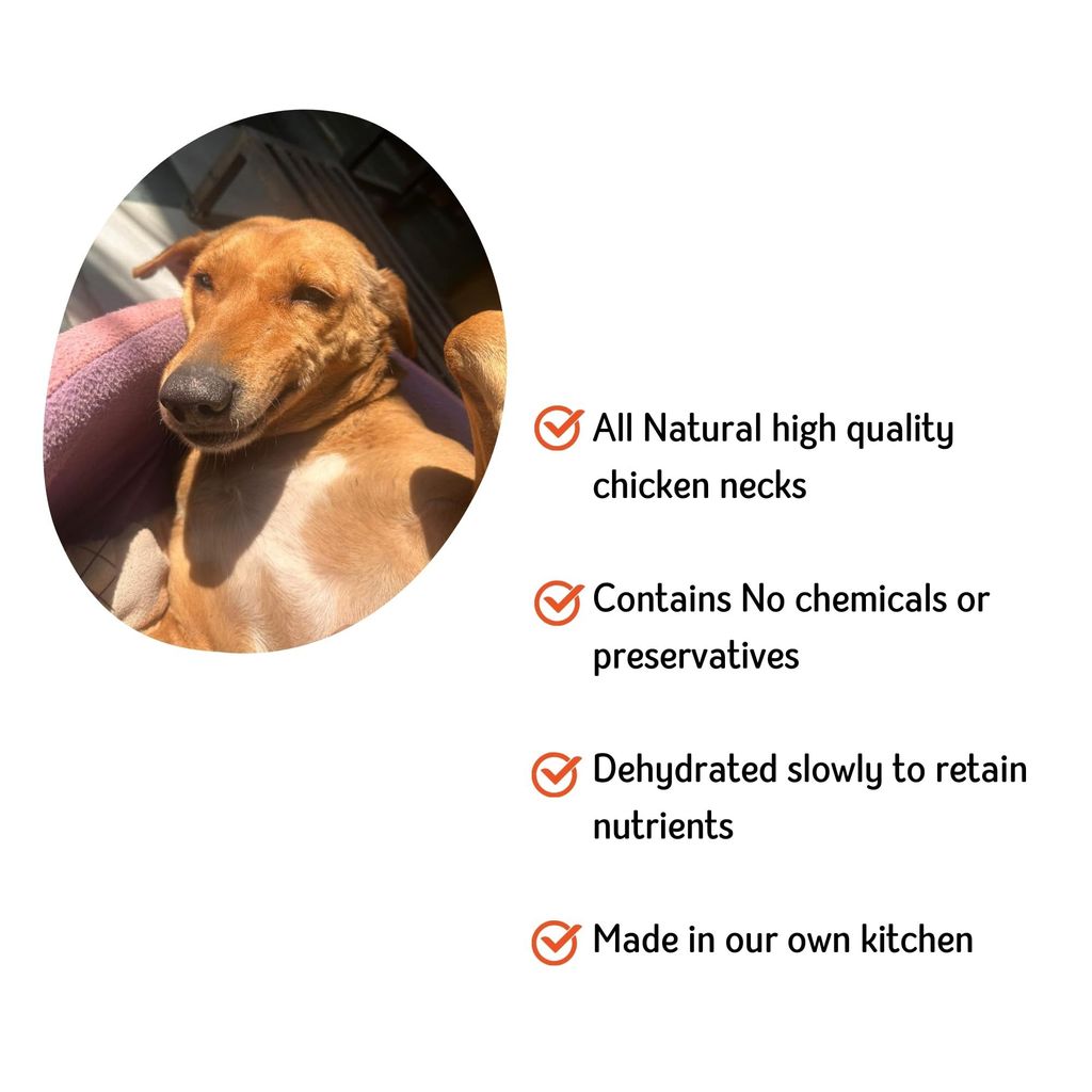 Nuts over Mutts Chicken Neck Dehydrated. Single Ingredient dehydrated Treat. All-Natural, no preservatives, no Chemicals. 1 Pack (140 gm)