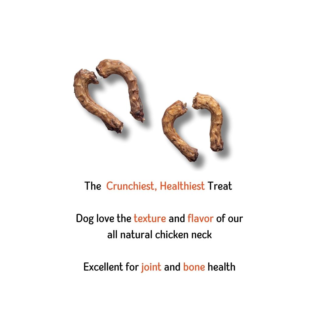 Nuts over Mutts Chicken Neck Dehydrated. Single Ingredient dehydrated Treat. All-Natural, no preservatives, no Chemicals. 1 Pack (140 gm)