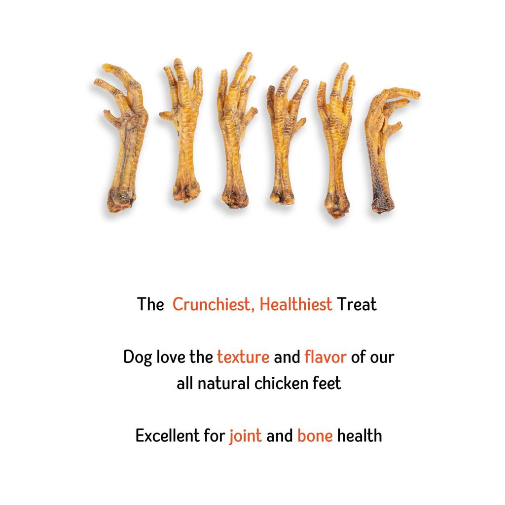 Nuts over Mutts Dehydrated Chicken Feet. Single Ingredient Natural Treat. for Dental Hygiene and Joint Health. No preservatives, no Chemicals. 1 Pack (10 feet)