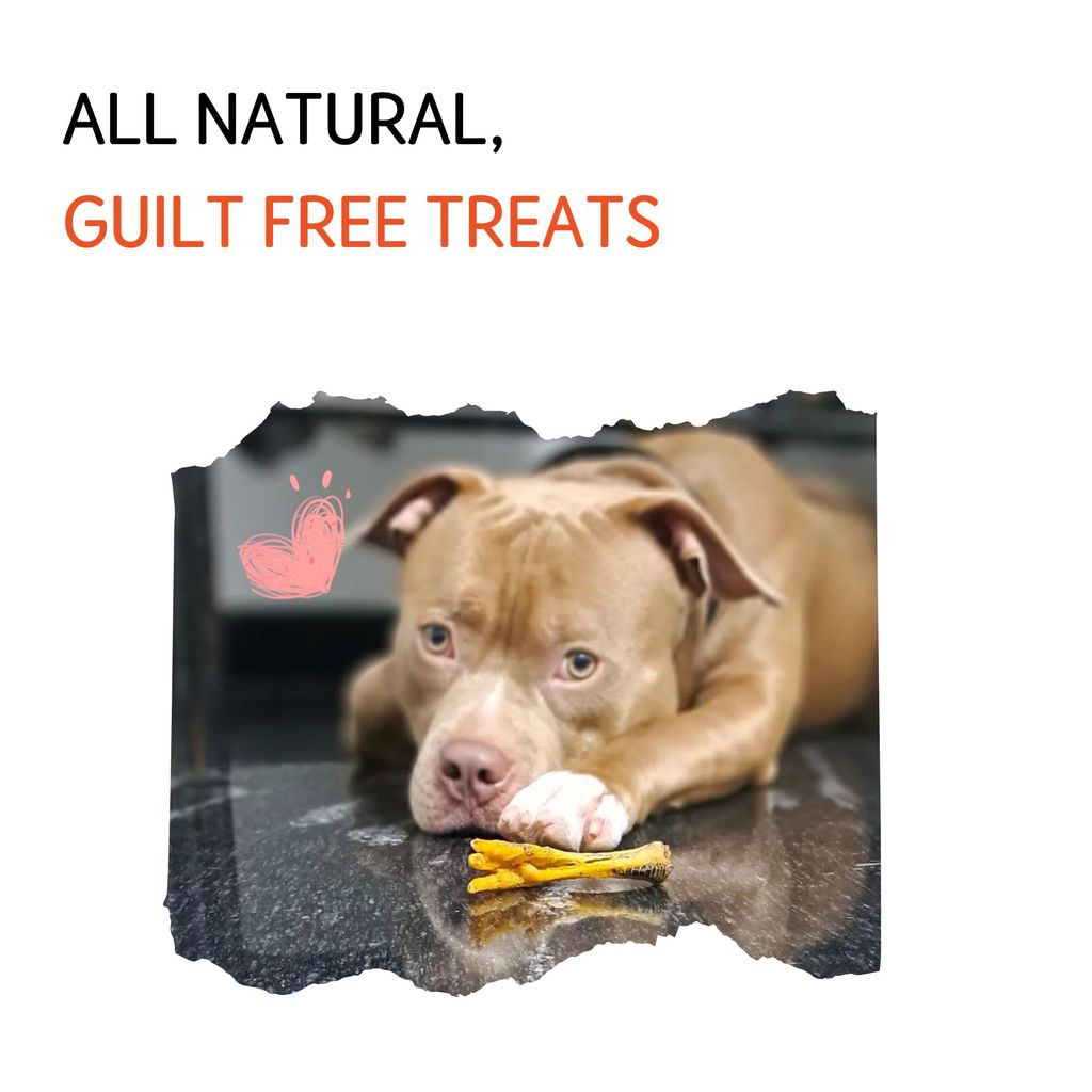 Nuts over Mutts Dehydrated Chicken Feet. Single Ingredient Natural Treat. for Dental Hygiene and Joint Health. No preservatives, no Chemicals. 1 Pack (10 feet)