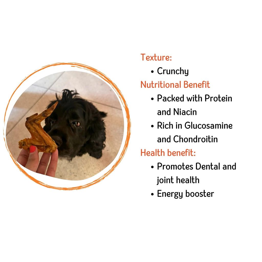 Nuts over Mutts Chicken Wings Dehydrated. Single ingredient dehydrated treat for dogs. All-natural, no preservatives, no chemicals. 1 pack (5 chicken wings)