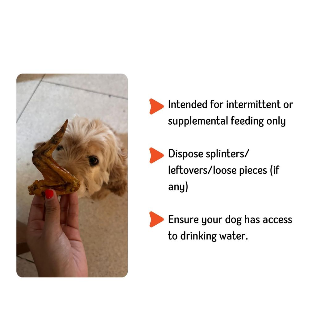 Nuts over Mutts Chicken Wings Dehydrated. Single ingredient dehydrated treat for dogs. All-natural, no preservatives, no chemicals. 1 pack (5 chicken wings)