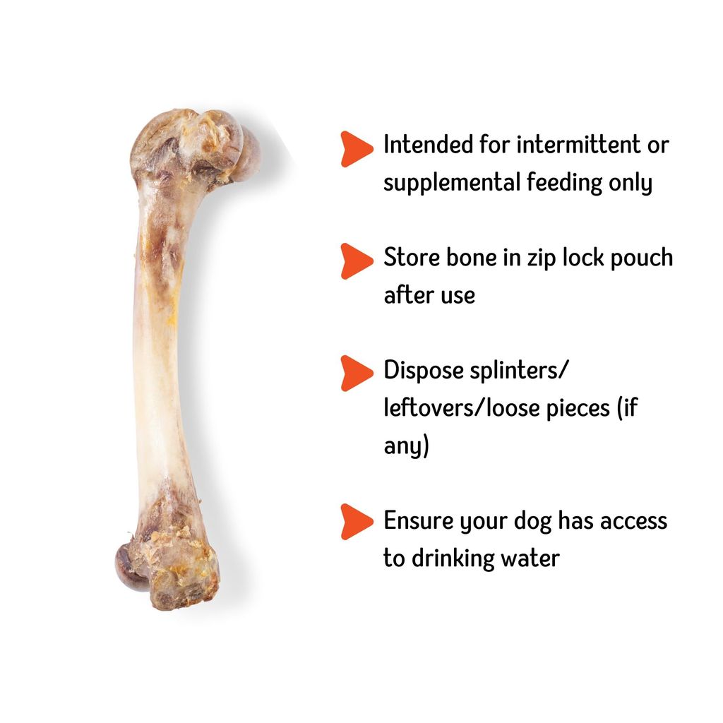 Nuts over Mutts Dehydrated Pork Bone, Chewing Bone for Dogs, Dehydrated Dental Bone for Dogs, All Natural Dog Treat, Protein and Calcium Rich, 1 Pack (2 Bones) for Rs 649/-