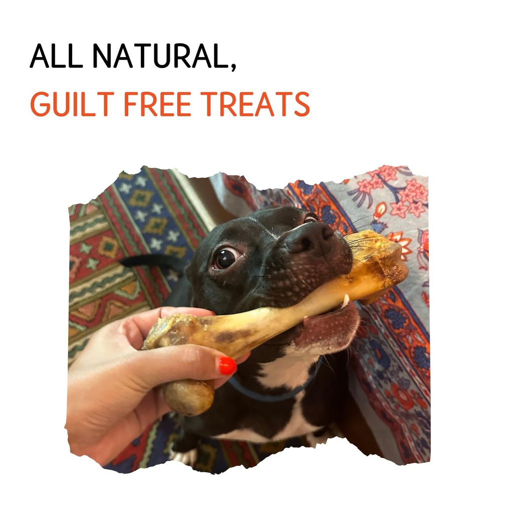 Nuts over Mutts Dehydrated Pork Bone, Chewing Bone for Dogs, Dehydrated Dental Bone for Dogs, All Natural Dog Treat, Protein and Calcium Rich, 1 Pack (2 Bones) for Rs 649/-