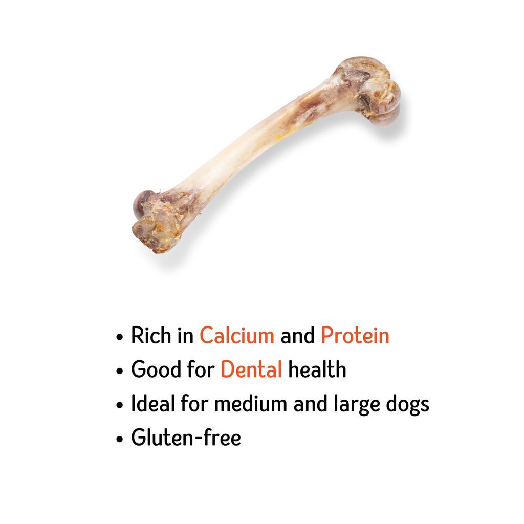 Nuts over Mutts Dehydrated Pork Bone, Chewing Bone for Dogs, Dehydrated Dental Bone for Dogs, All Natural Dog Treat, Protein and Calcium Rich, 1 Pack (2 Bones) for Rs 649/-