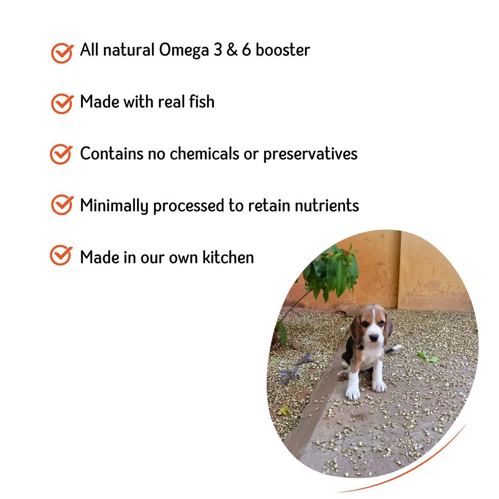 Nuts Over Mutts Fish Powder. Rich in Omega 3 and 6. Food Topper for Dogs. for Shiny Skin and Coat. 1 Pack (100 gm)