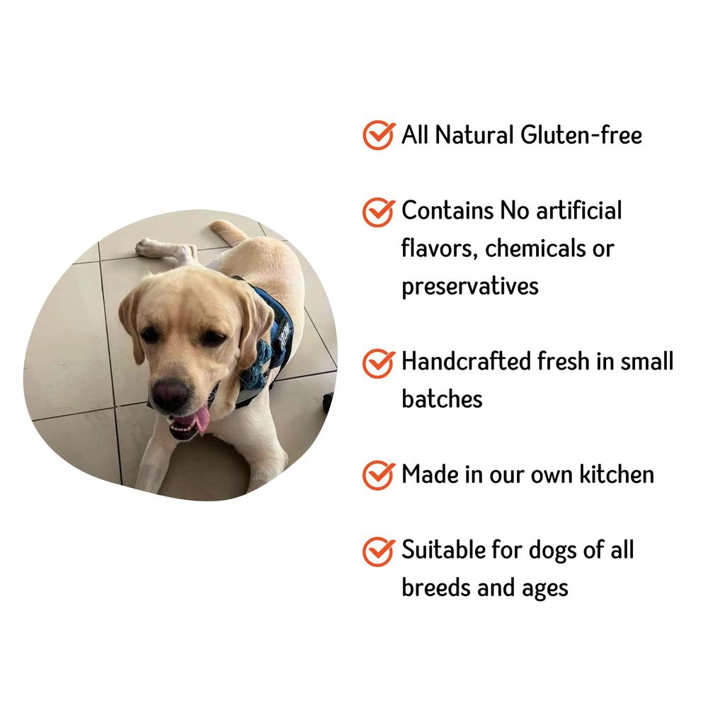 Nuts over Mutts Dehydrated Chicken Jerky. Single Ingredient Treat Chicken Breast only. Crispy, All-Natural, no preservatives, no Chemicals. 1 Pack (100 gm)