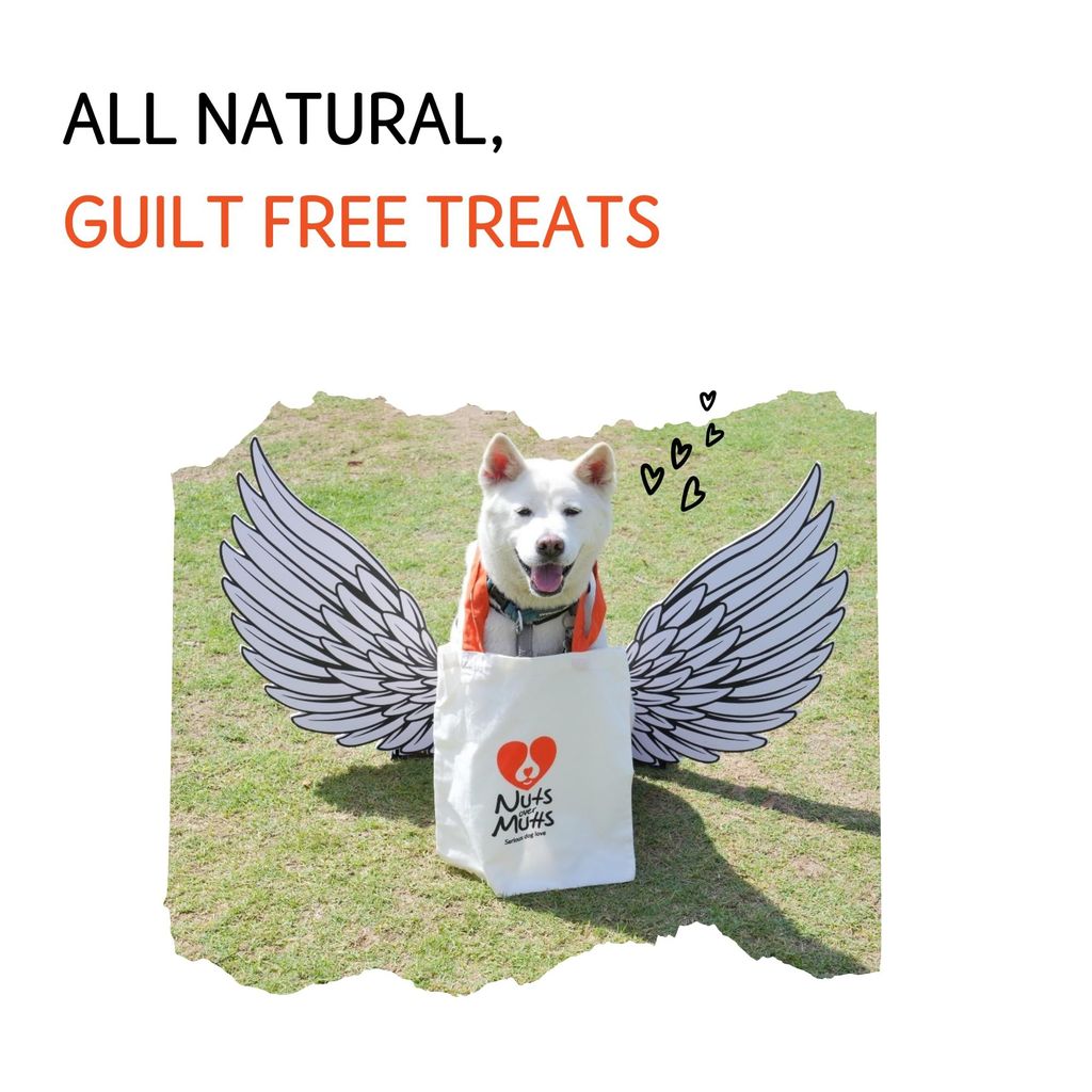 Nuts over Mutts Dehydrated Chicken Jerky. Single Ingredient Treat Chicken Breast only. Crispy, All-Natural, no preservatives, no Chemicals. 1 Pack (100 gm)