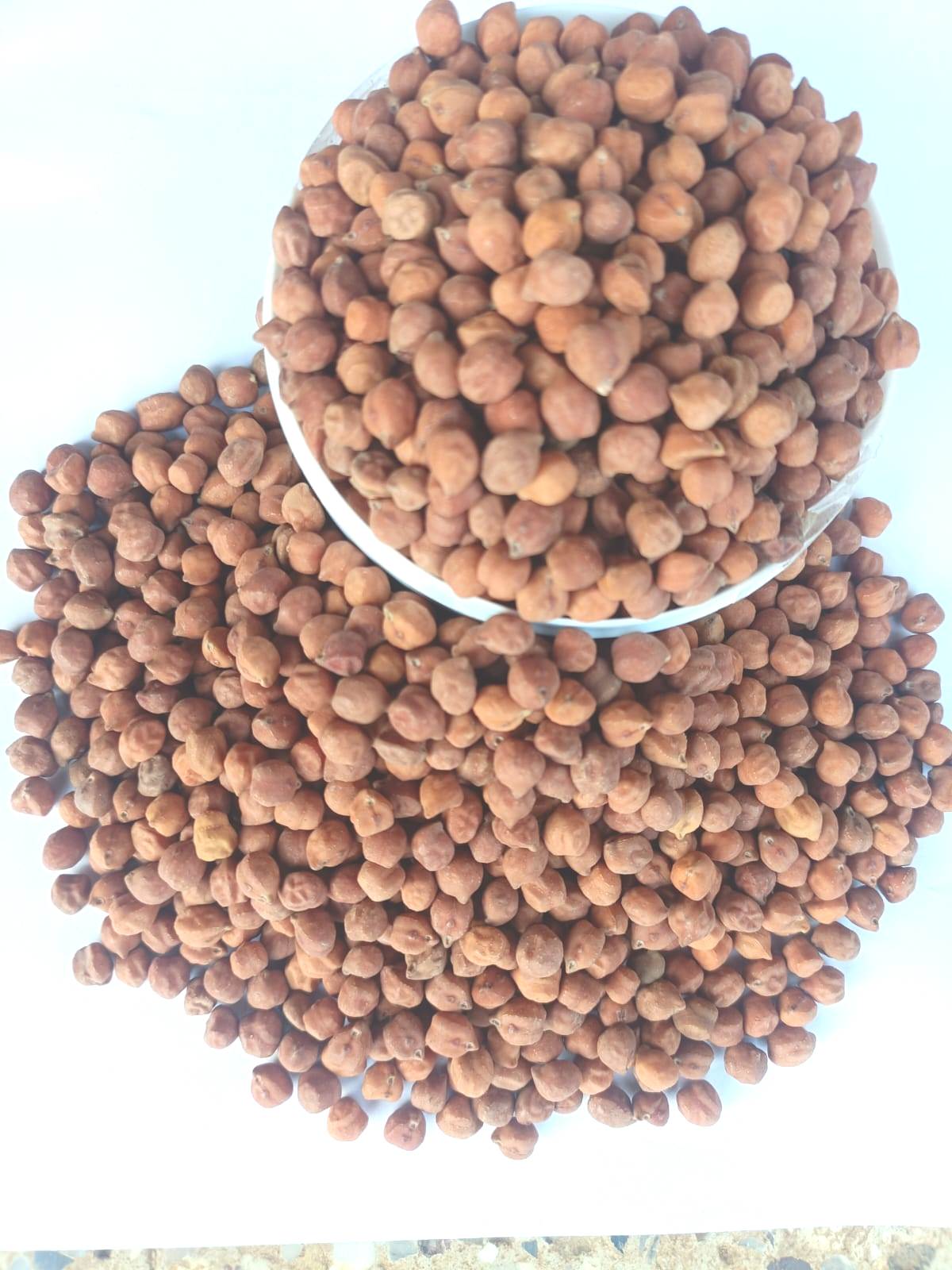 NSC Bengalgram BGD 111-1 Seeds TL SEEEDS