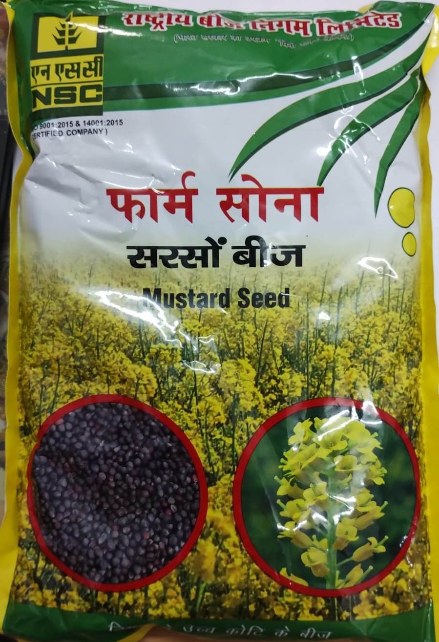 NSC Mustard Seeds /RH-761(1 Kg)