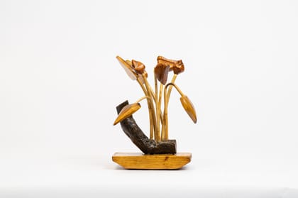 Tulip Showpiece