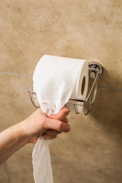 Claret Virgin Pulp Toilet Rolls 2-Ply 10x10 cm, 200 Pulls (Pack of 10) | OBA-Free, Skin-Friendly, Ultra Comfort Quilted Bathroom Tissue for All Family Care