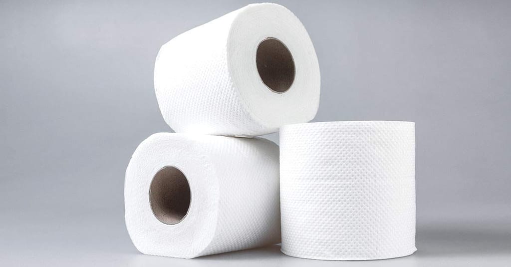 Kosmos Toilet Roll 6 in 1, 180 Pulls, 2-Ply (Green), Softness, High Absorbency, Suitable for All Skin Types, Hygiene & Personal Standards