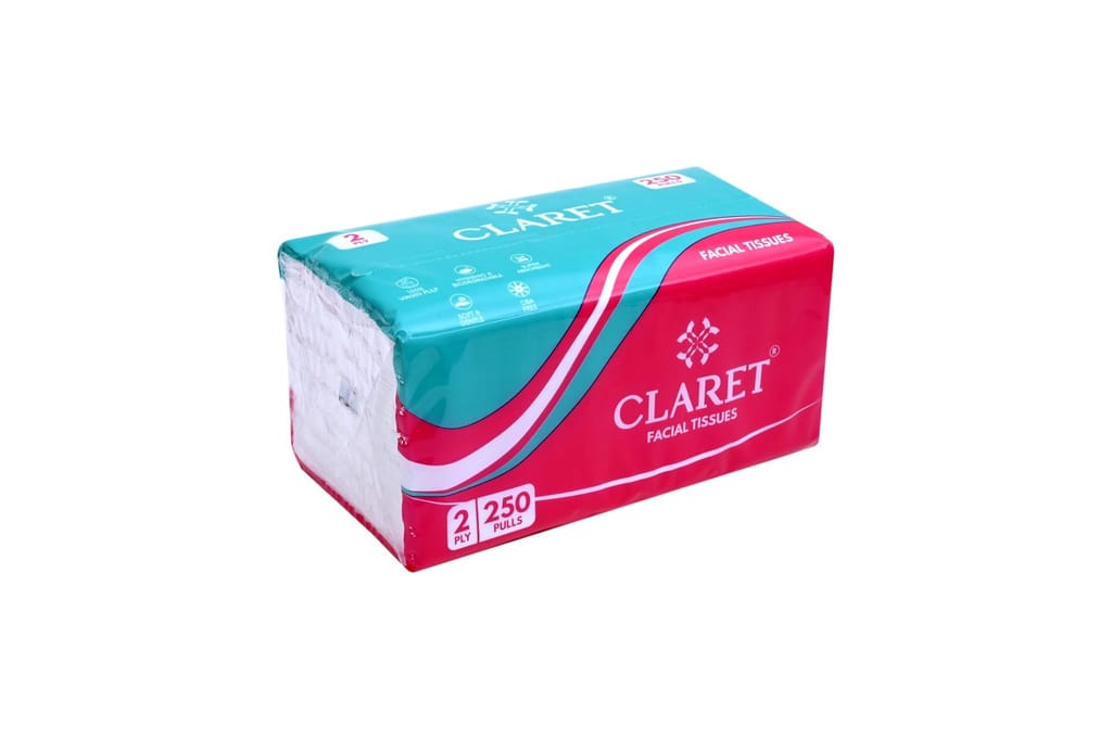 CLARET Polypack Facial Tissues - 2 Ply, 250 Pulls (500 Sheets), 18x20 cm, Super Soft, Multipurpose for Personal Care & Daily Use - Pack of 2