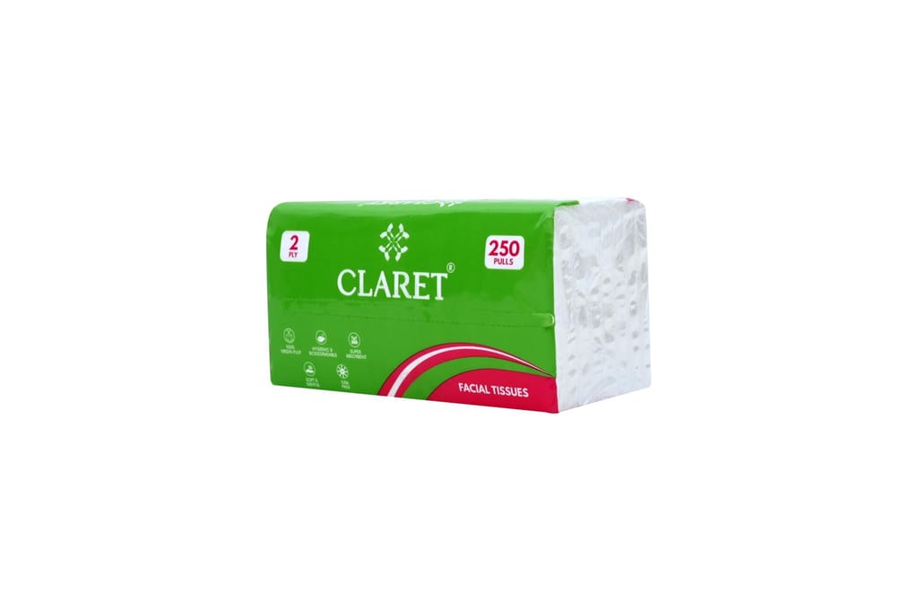 CLARET Polypack Facial Tissues - 2 Ply, 250 Pulls (500 Sheets), 18x20 cm, Super Soft, Multipurpose Dry Tissue for Personal Care, Office, Car - Pack of 2